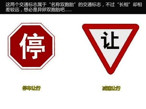 交通标志中的“双胞胎” 3