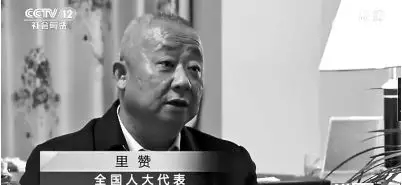 全国人大代表、四川大学法学院教授里赞